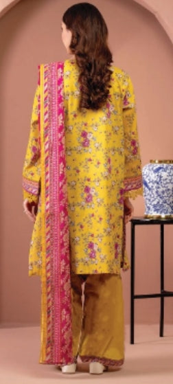 Fancy painted lawn shirt* Fancy lawn voil dubata* *Dyed lawn trouser